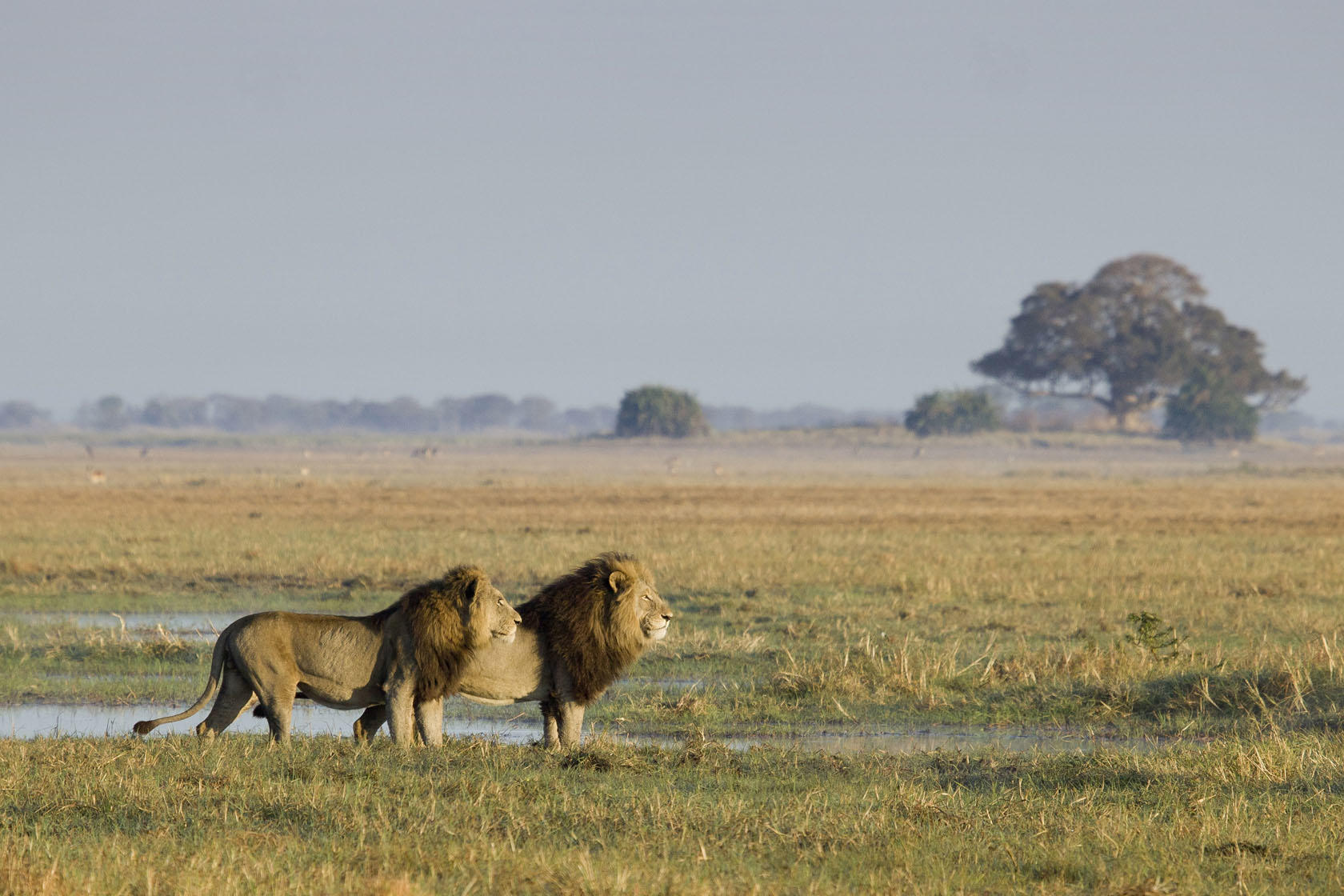 Exclusive Kafue National Park