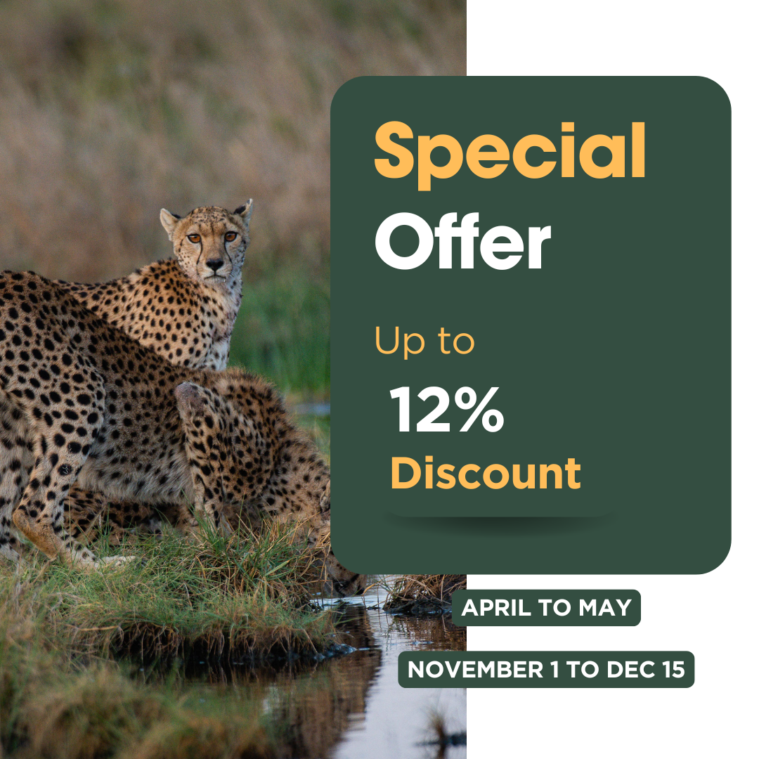 Special offer safari by The Luxury Africa DMC