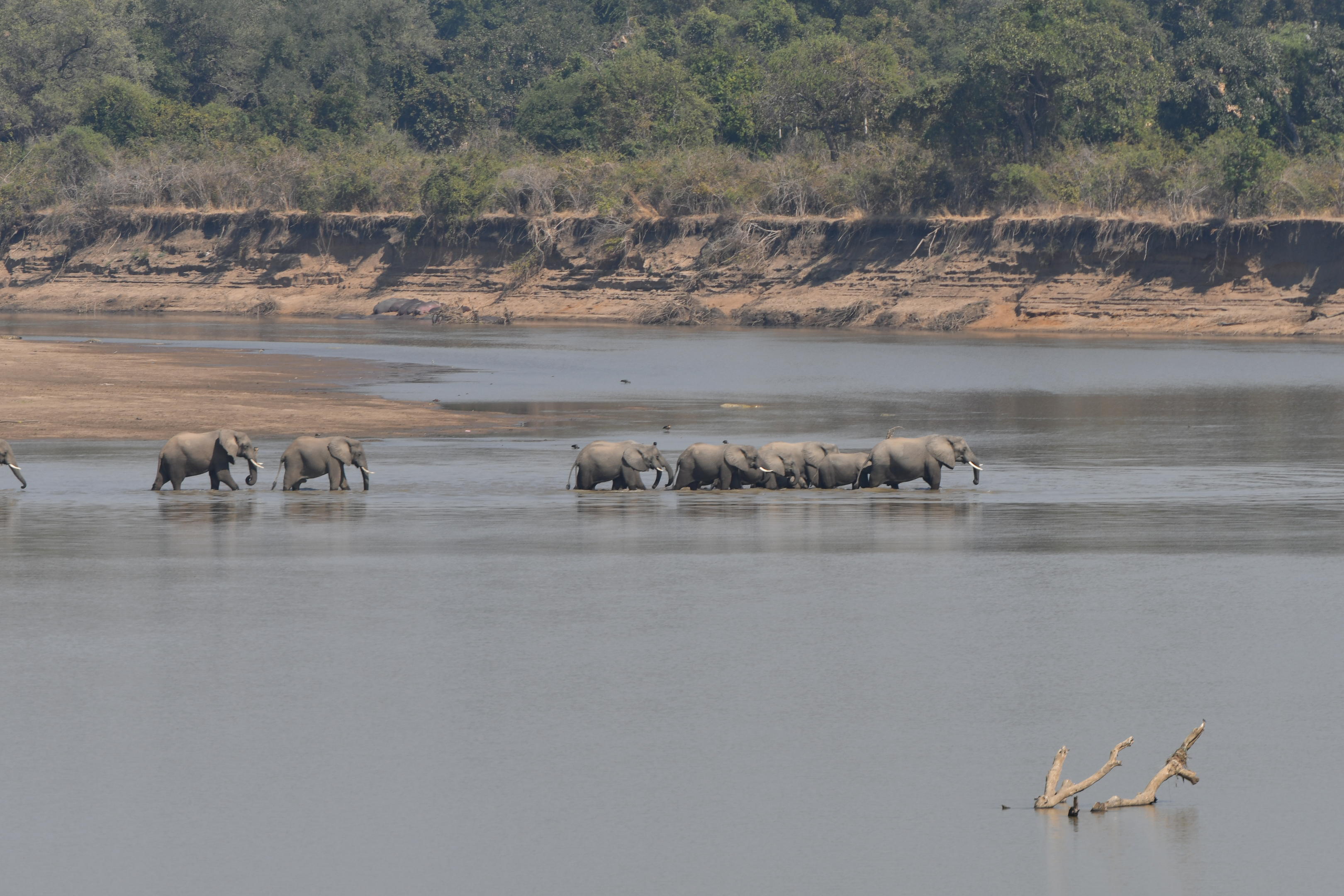 Private South Luangwa Safari
