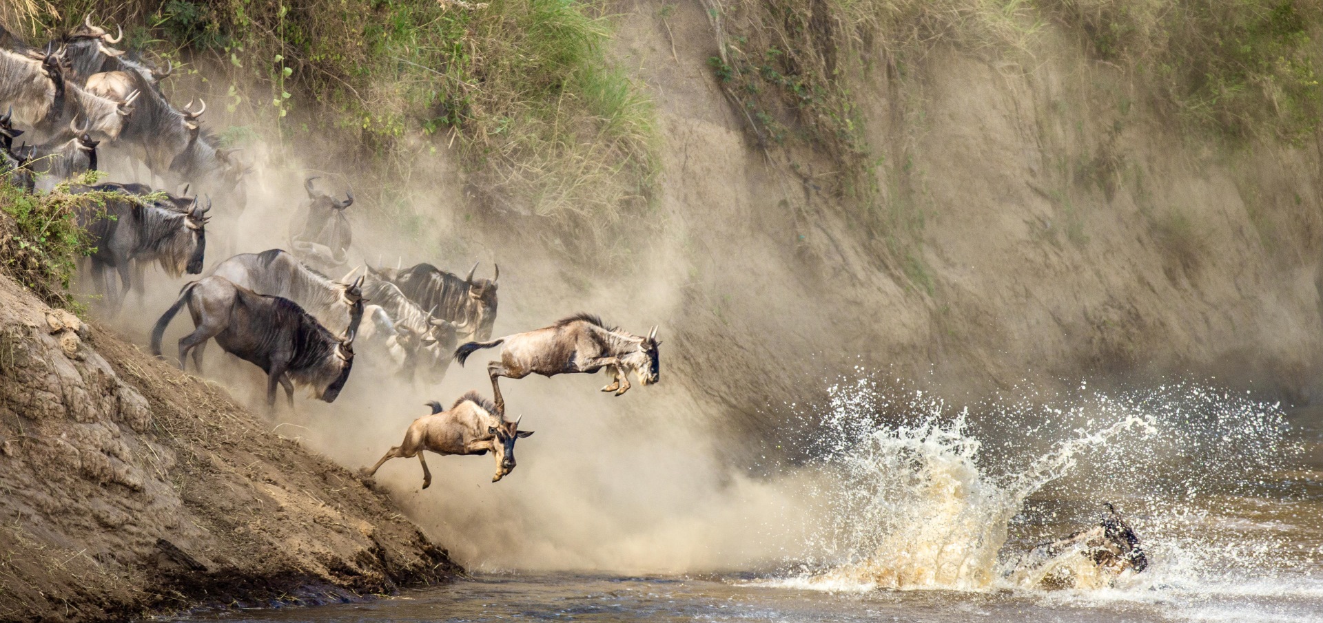 Tanzania Great Migration safari with seasonal routing