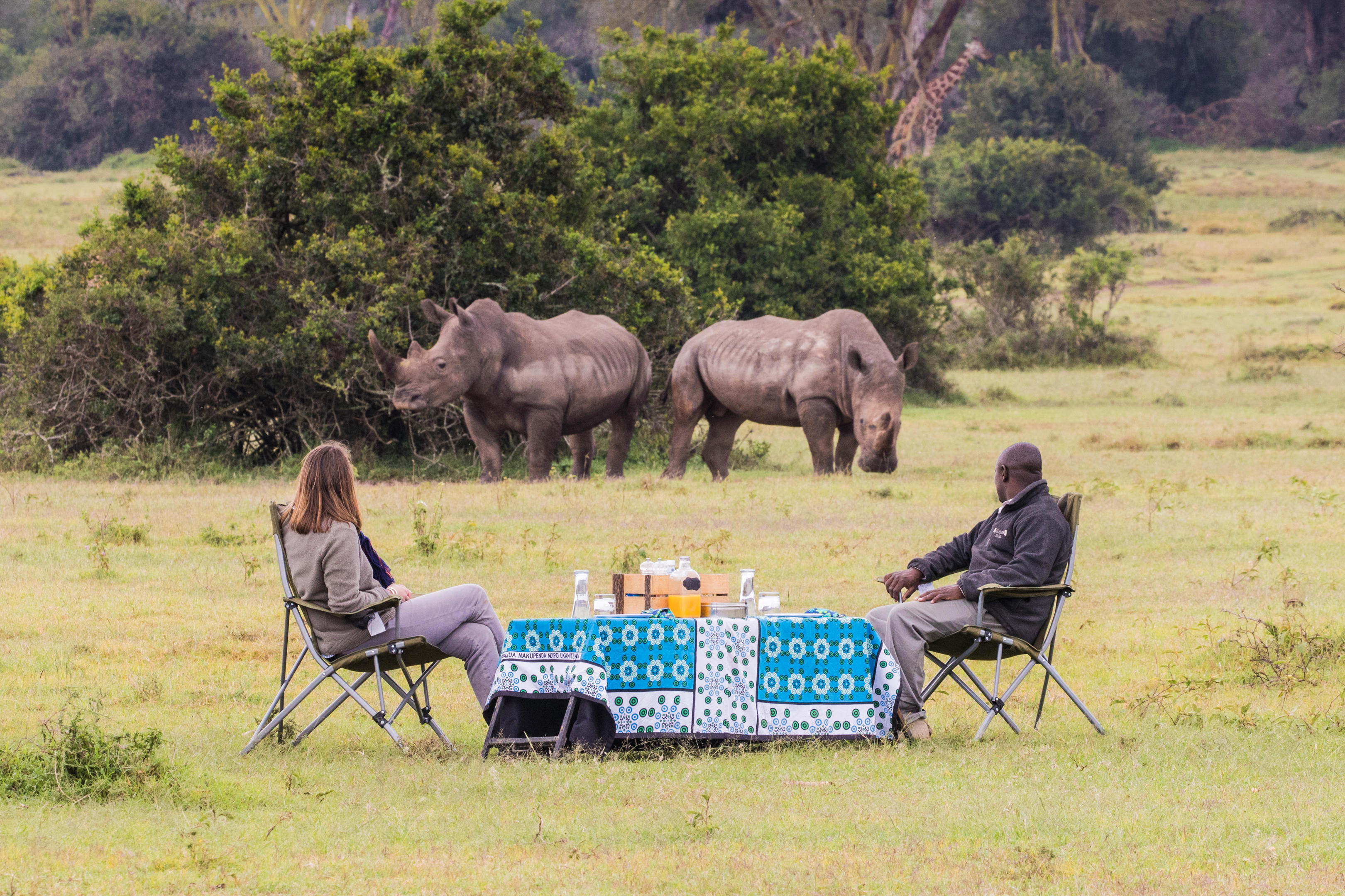 Short Kenya safari with rhinos and giraffe encounters