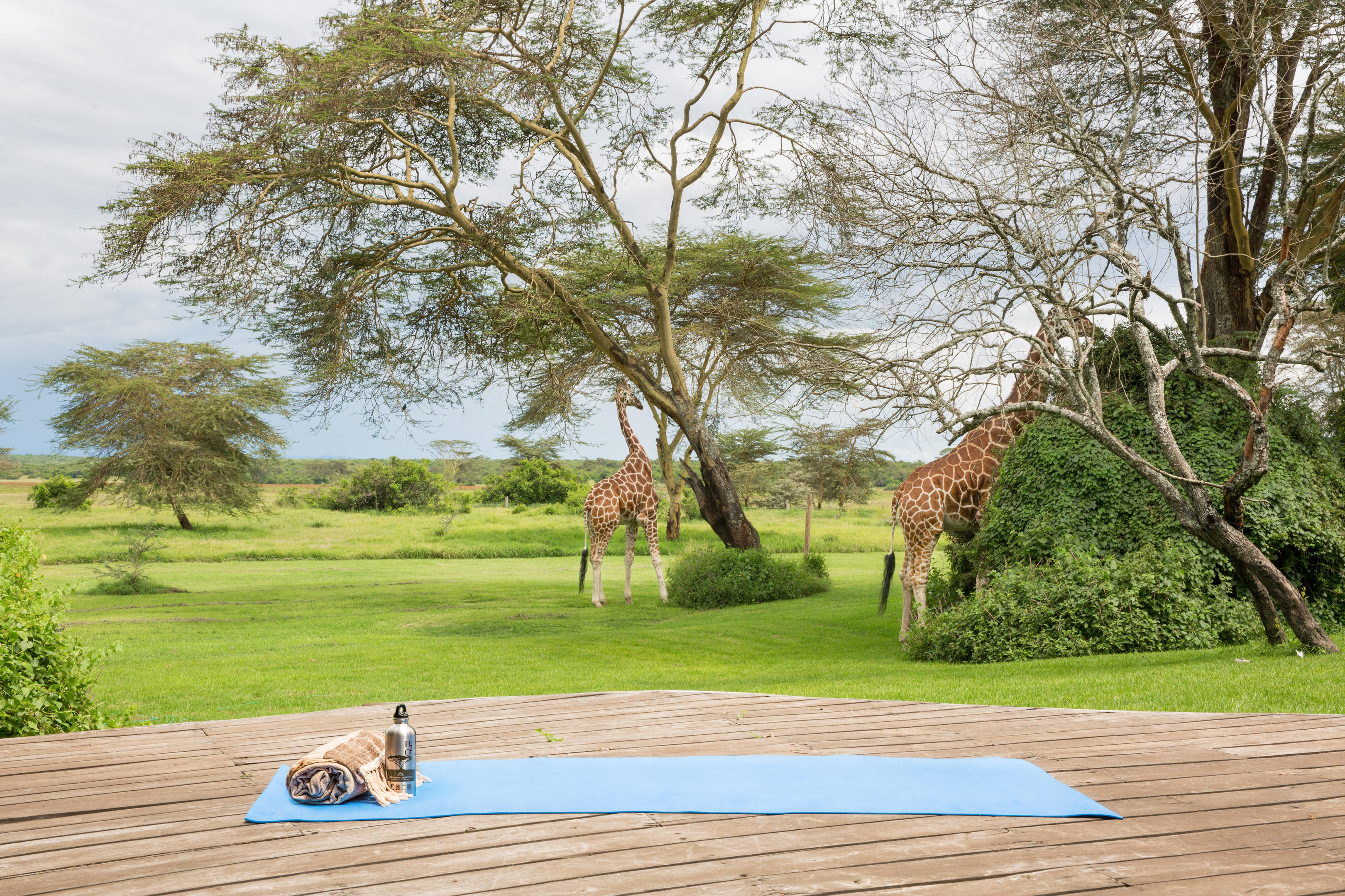 Wellness Safari in Kenya with yoga and healthy cuisine