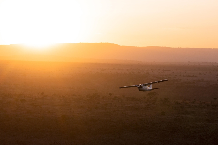 Luxury train safari preview