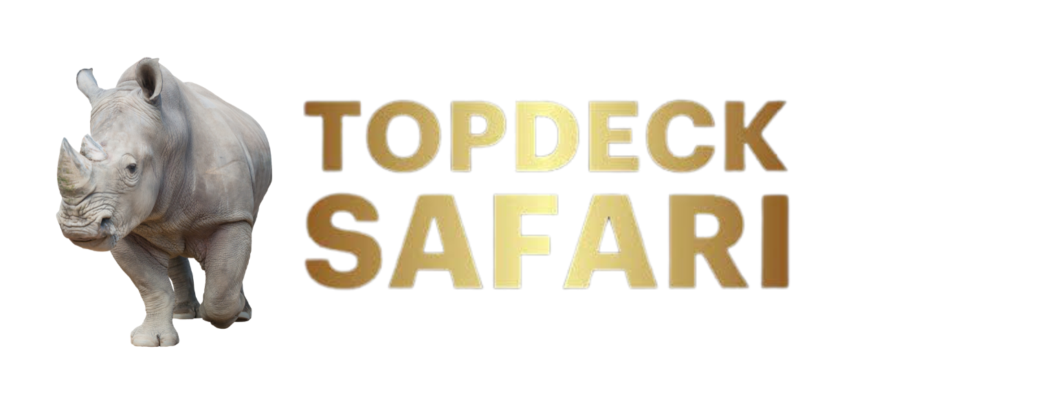 Topdeck Safari